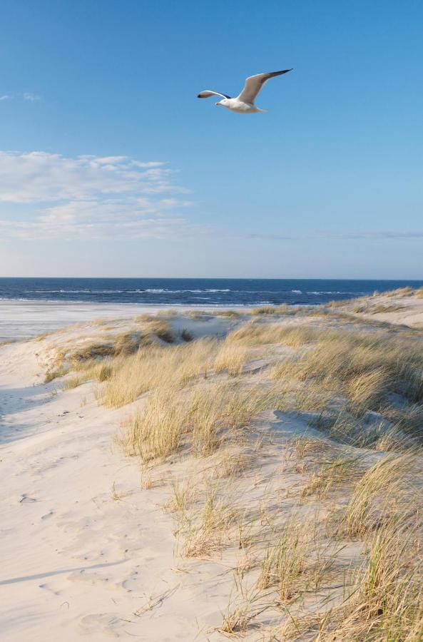 Sea You Hotel Noordwijk Eksteriør billede