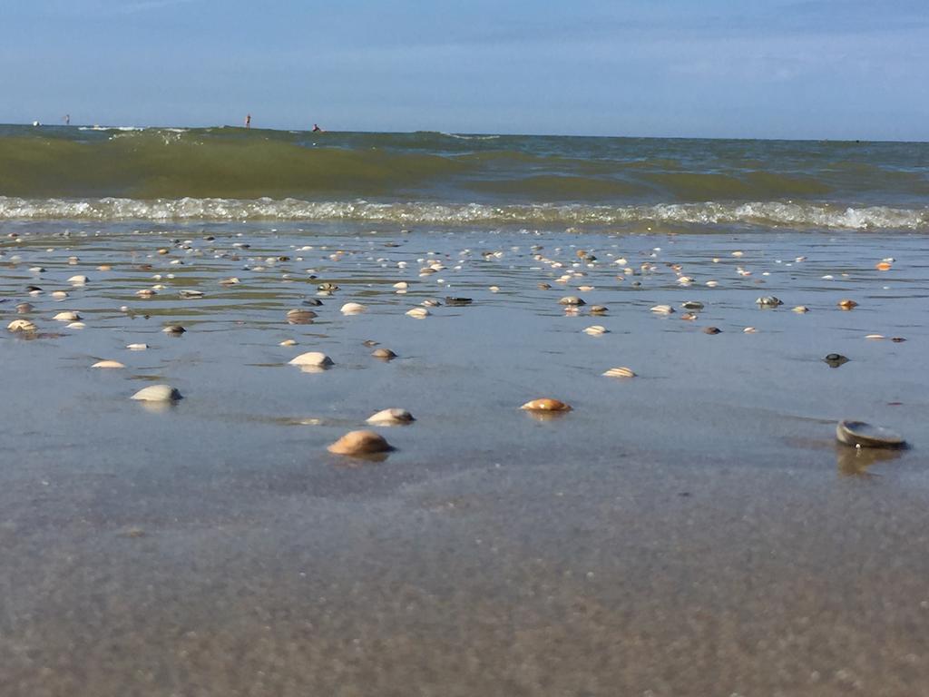Sea You Hotel Noordwijk Eksteriør billede